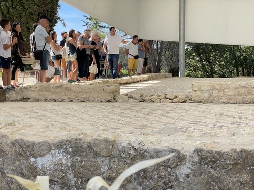 LES ESTIVALES ET LEURS VISITES